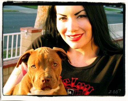 Dahlia Dark fotoğrafı