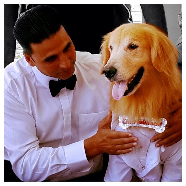 Akshay Kumar Fotoğrafları 318