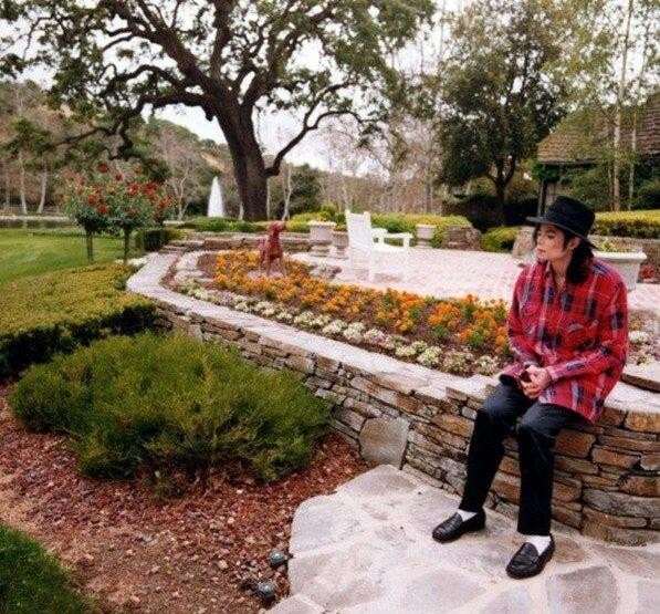Michael Jackson Fotoğrafları 2830