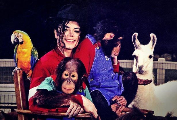 Michael Jackson Fotoğrafı