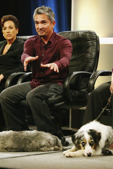 Cesar Millan Fotoğrafları 11