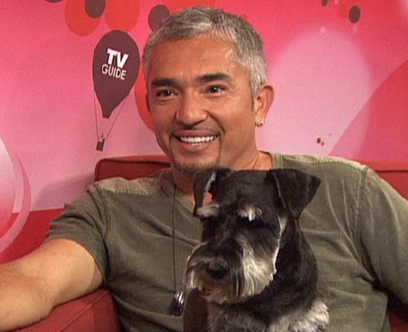 Cesar Millan Fotoğrafları 64