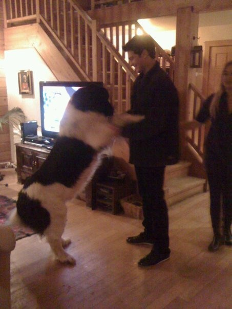 Çağatay Ulusoy Fotoğrafı