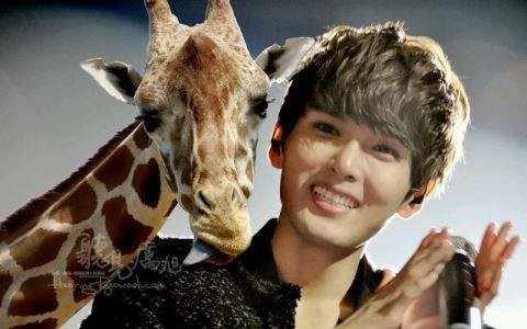 Ryeowook Kim Fotoğrafları 63