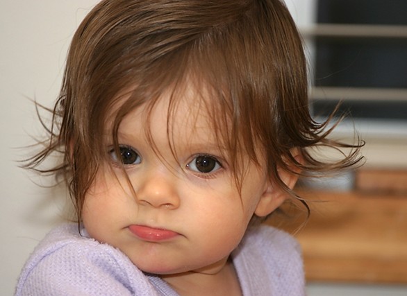 Asif Iqbal Fotoğrafı