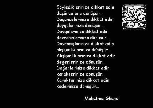 Asif Iqbal Fotoğrafı