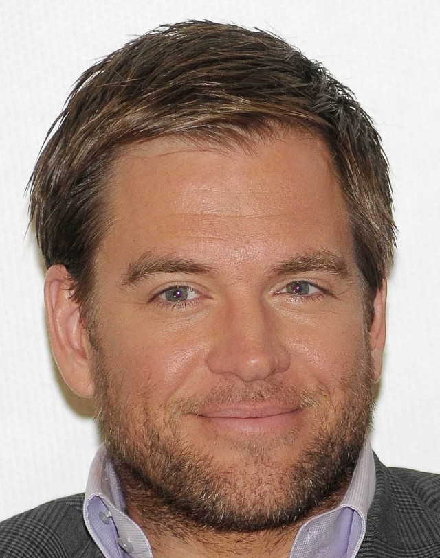 Michael Weatherly Fotoğrafları 47