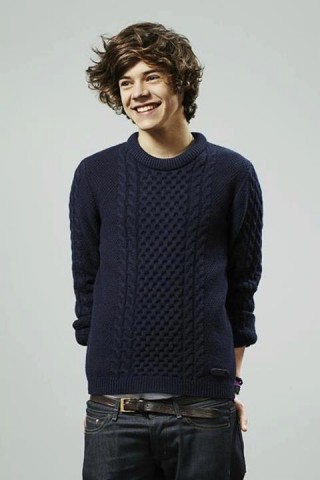 Harry Styles Fotoğrafı