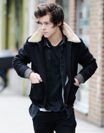 Harry Styles Fotoğrafı