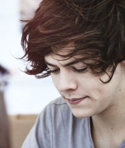 Harry Styles Fotoğrafı