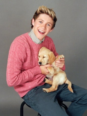 Niall Horan Fotoğrafı