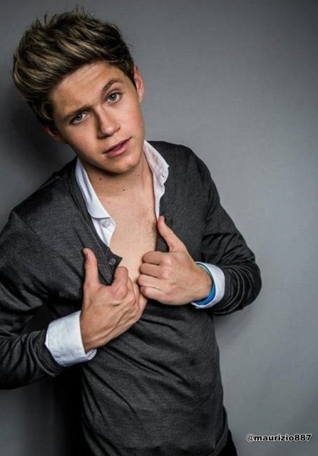 Niall Horan Fotoğrafları 39