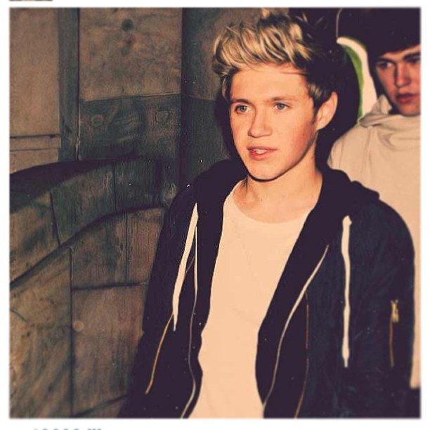 Niall Horan Fotoğrafları 51