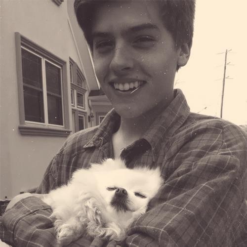 Dylan Sprouse Fotoğrafları 132