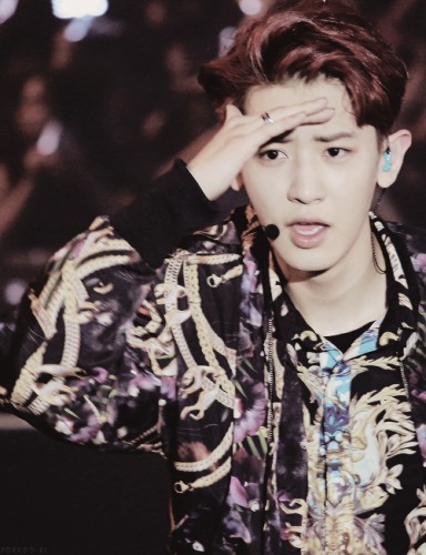 Park Chan-yeol Fotoğrafı
