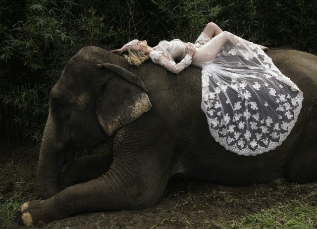 Alex Van Zeelandt Fotoğrafı