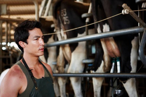 Daniel Henney fotoğrafı