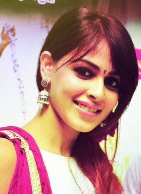 Genelia D'Souza Fotoğrafları 312