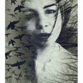 Poetryfairy