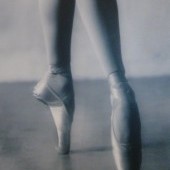 Daisy8