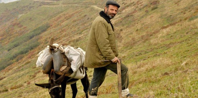 89. Oscar Ödülleri'nde Türkiye'nin Aday Adayı Kalandar Soğuğu!