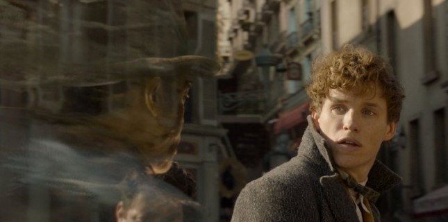 'Fantastic Beasts 3' Çekimleri Ertelendi! 