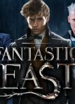 'Fantastic Beasts 3' Rio De Janeiro'da Geçecek!