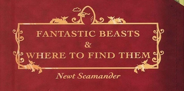 Harry Potter'dan Bir Film Daha Harry Potter'dan Bir Film Daha