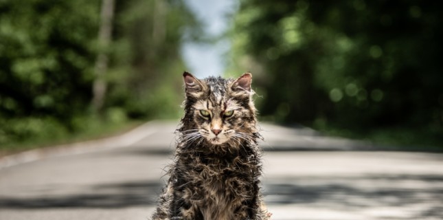 Hayvan Mezarlığı - Ödüllü Facebook Yarışması