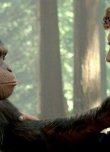 James Franco'ya Maymunlar Cehennemi 2'de Ne Oldu ?