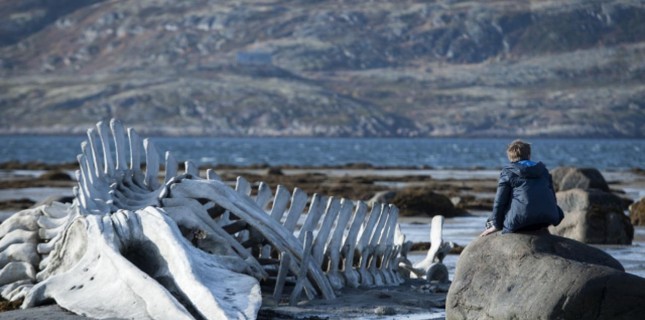 Kış Uykusu Oscar'da Yok!