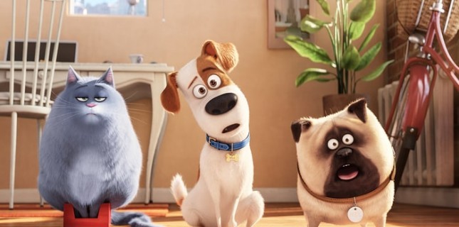 Vizyondaki Filmler'de Bu Hafta (5 Ağustos 2016)