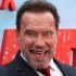 Netflix’in Yeni Baş Aksiyon Sorumlusu Arnold Schwarzenegger Oldu!
