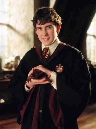 Neville Longbottom Fotoğrafları 3