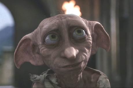 Dobby fotoğrafı