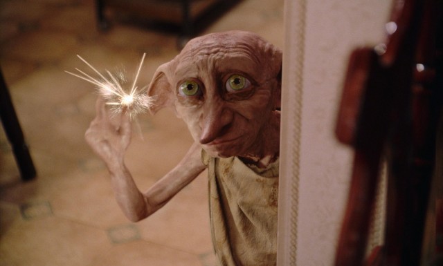 Dobby Fotoğrafları 7