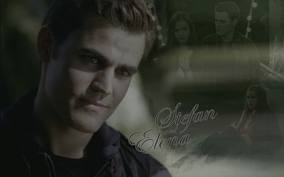 Stefan Salvatore Fotoğrafları 17