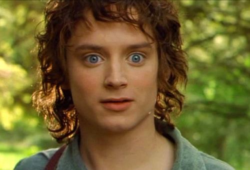 Frodo Baggins Fotoğrafları 3