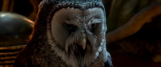 Allomere fotoğrafı