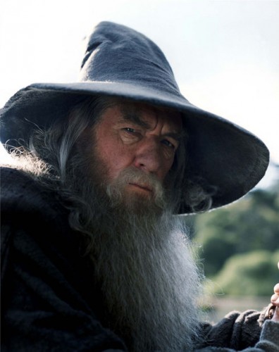 Gandalf The Grey Fotoğrafları 22