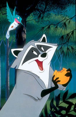 Meeko fotoğrafı