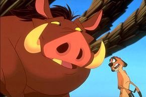 Pumbaa Fotoğrafları 11