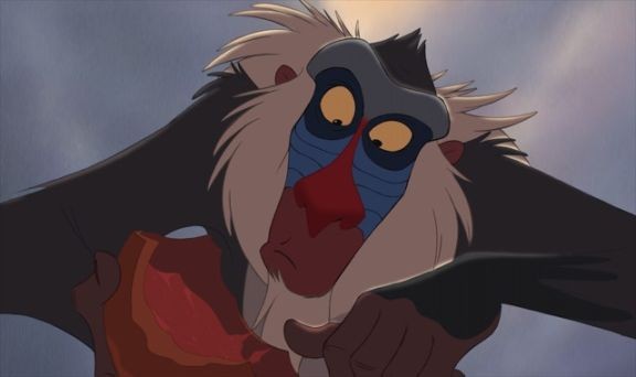 Rafiki Fotoğrafları 5