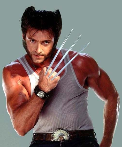 Wolverine fotoğrafı
