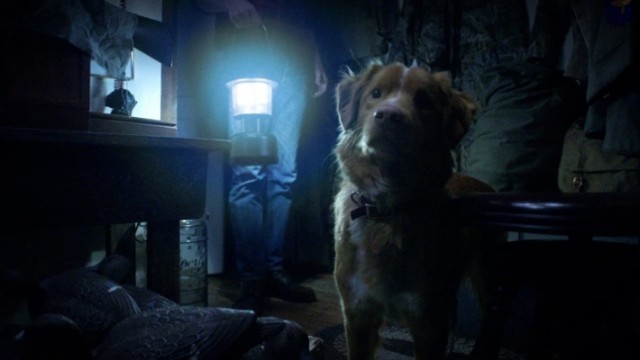 2025’in En İyi 10 Korku Filmi