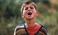 Kürt Sineması ve Kürtlerle İlgili Filmler Kürt Sineması ve Kürtlerle İlgili Filmler