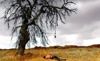 2019 Oscar Tahminleri: Yabancı Dilde En İyi Film 2019 Oscar Tahminleri: Yabancı Dilde En İyi Film