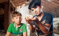 30. Uluslararası Ankara Film Festivali'nde Ödüle Kavuşan Filmler 30. Uluslararası Ankara Film Festivali'nde Ödüle Kavuşan Filmler