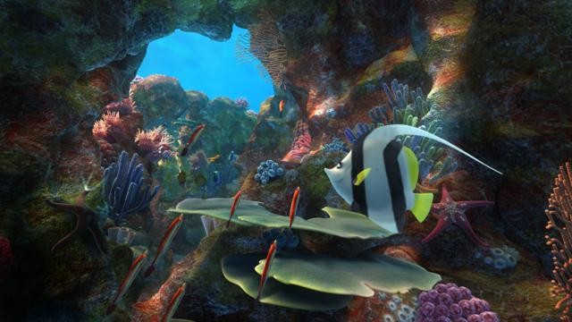 Sammy'nin Maceraları Fotoğrafı