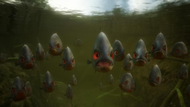 Sammy'nin Maceraları Fotoğrafı